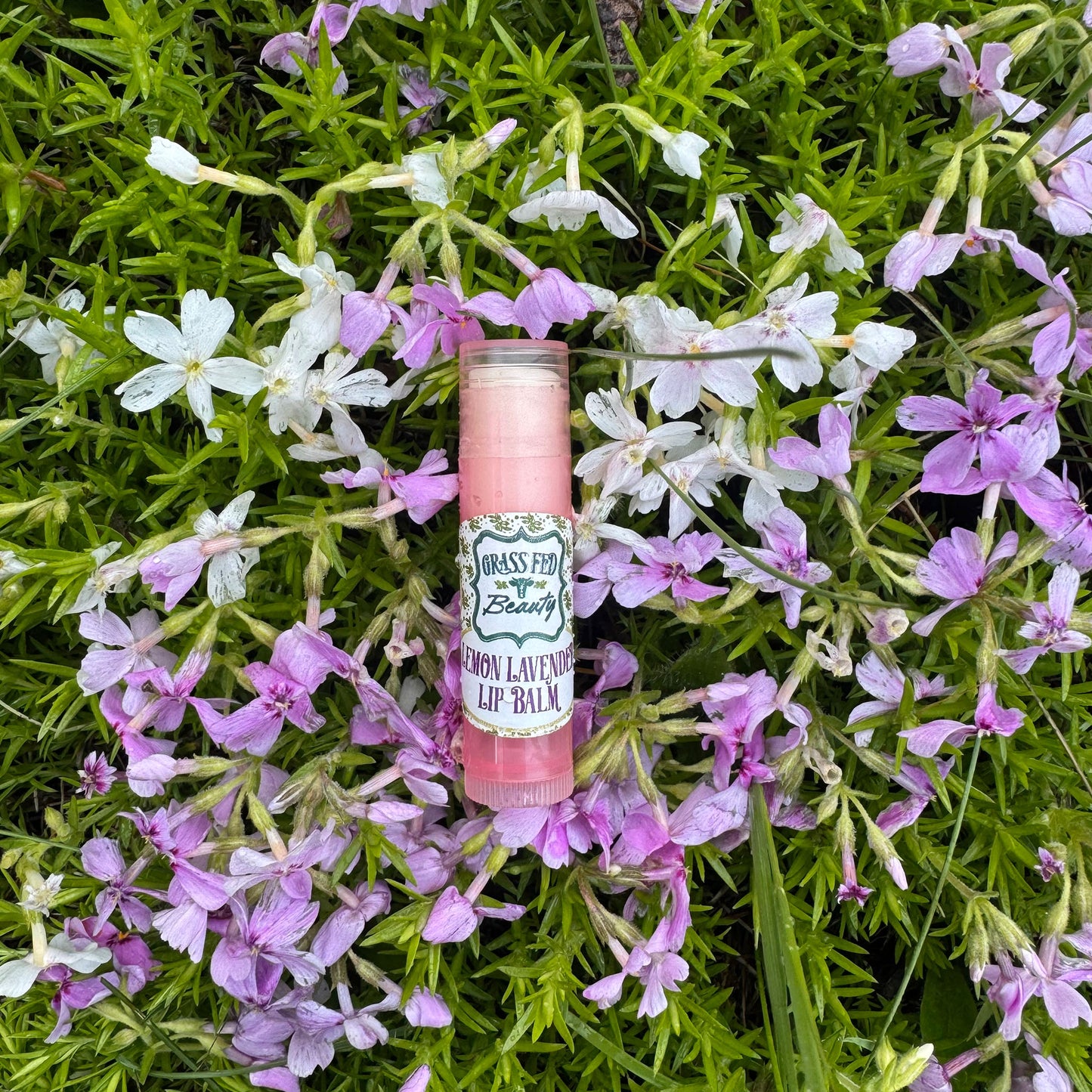 Lemon Lavender Lip Balm